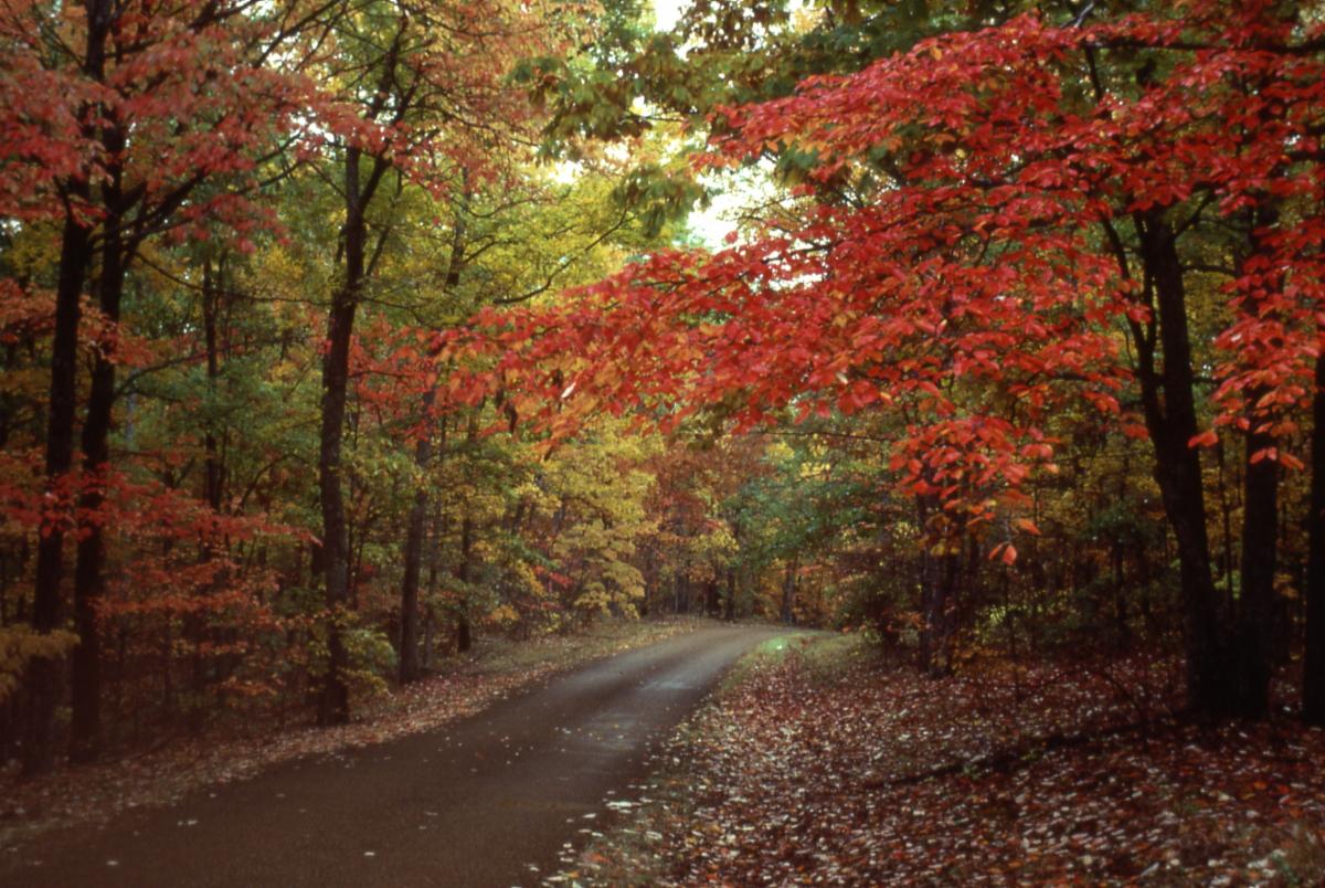 FFRNatchezTrace1.jpg